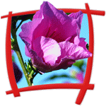 [logo]